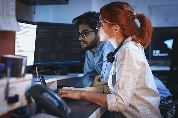 Software engineers